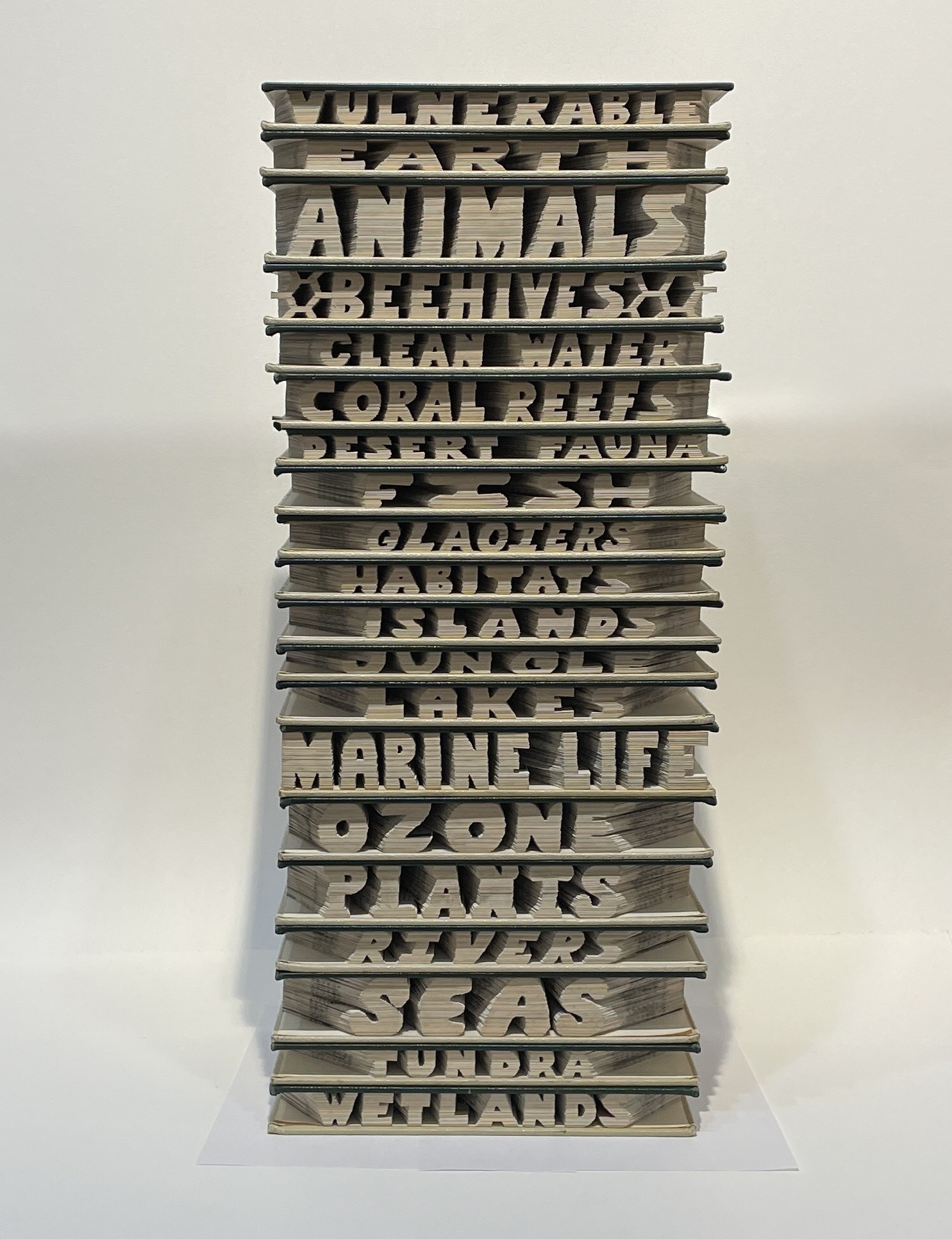 An artwork by Maggie Kerrigan of Virginia Beach that shows a full set of Encyclopedias stacked up. The fore edge of the paper has been carved away (with scissors) to reveal words that describe endangered aspects of our world.