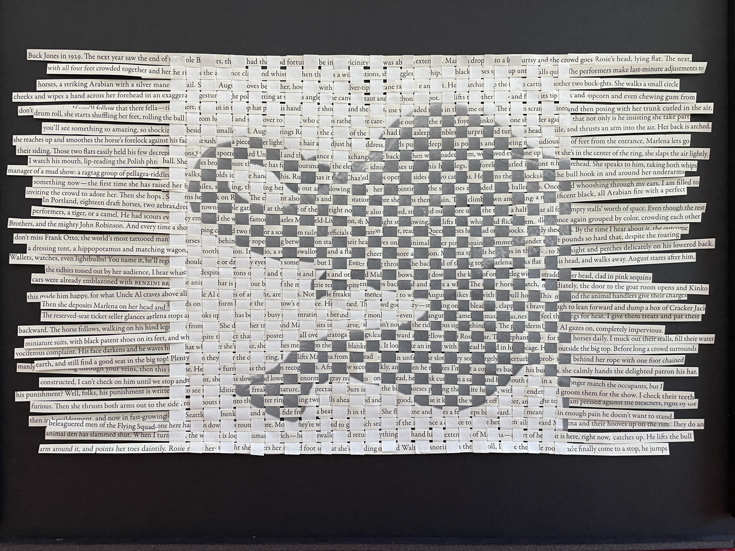 An artwork by Maggie Kerrigan that has text from the book Water for Elephants woven into an image of an elephant.