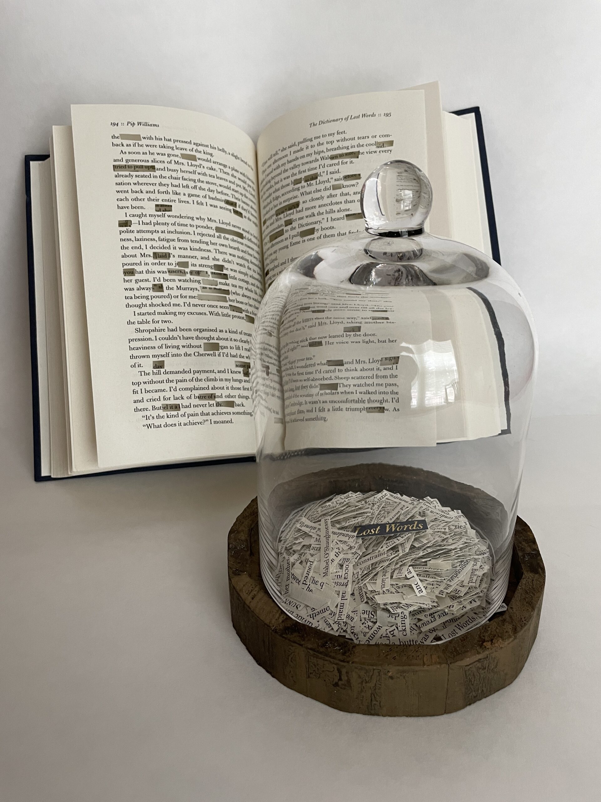A book sculpture by Maggie Kerrigan that shows thousands of words cut out of the book The Dictionary of Lost Words.