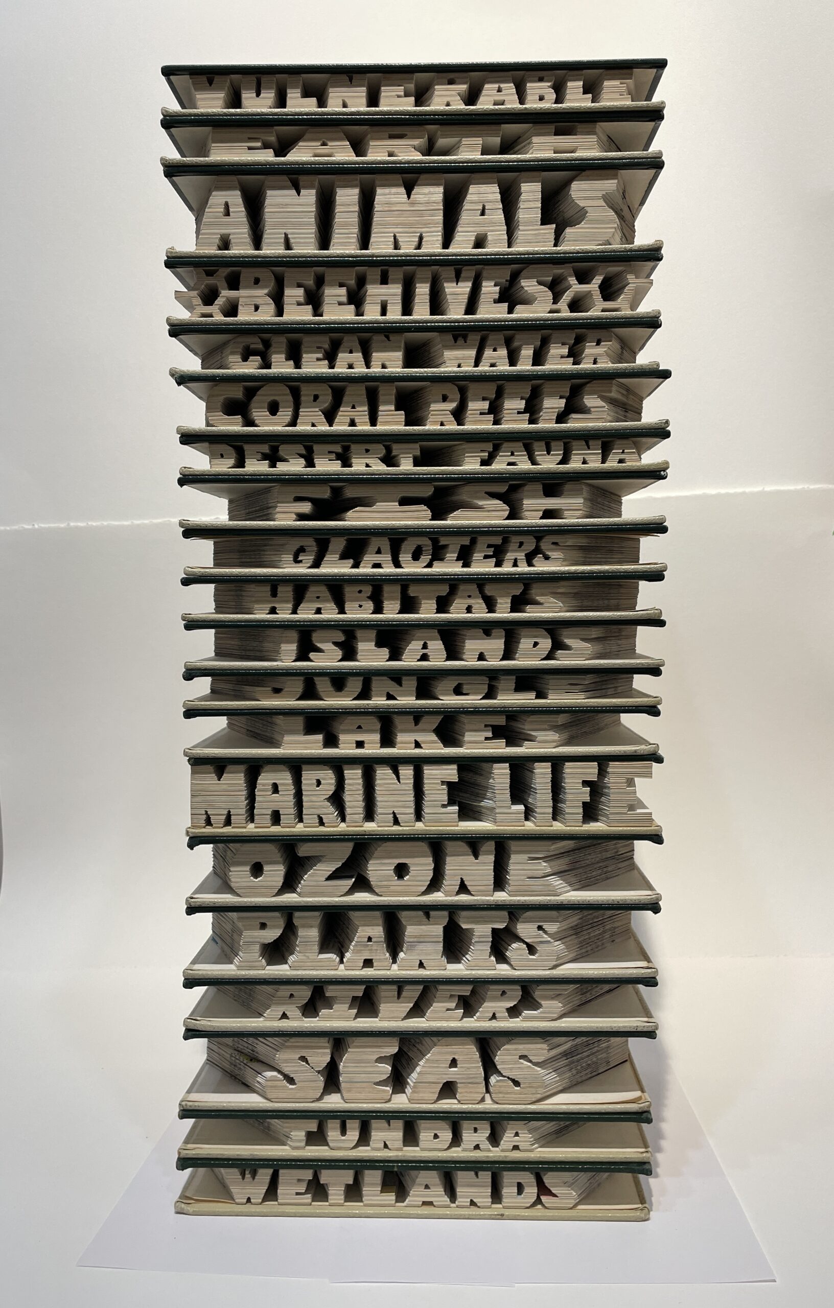 An artwork by Maggie Kerrigan of Virginia Beach that shows a full set of Encyclopedias stacked up. The fore edge of the paper has been carved away (with scissors) to reveal words that describe endangered aspects of our world.